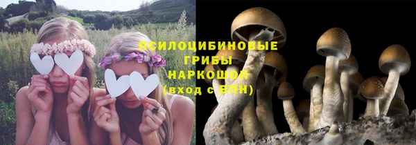 марки lsd Алексеевка