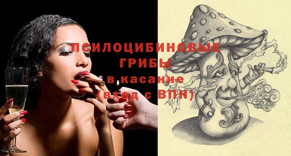 стаф Алзамай