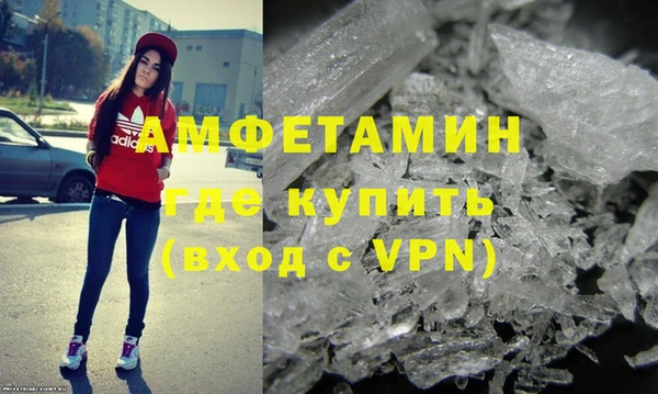 стаф Алзамай
