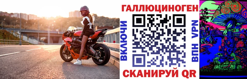 Псилоцибиновые грибы Psilocybine cubensis  Железногорск 